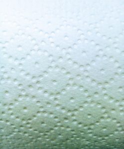Foto's op social media zonder gevaren: een extreme detailopname van een rol wc papier, waarvan je alleen het papier ziet, dat wit is met een textuur van ingedrukte stippen in een soort bloemenpatroon