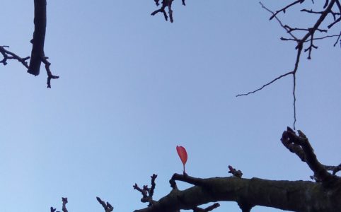 hiernamaals voor iedereen